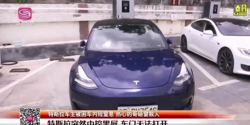 王大陆因不会开特斯拉车门捶窗