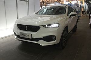 w01汽车报价是多少