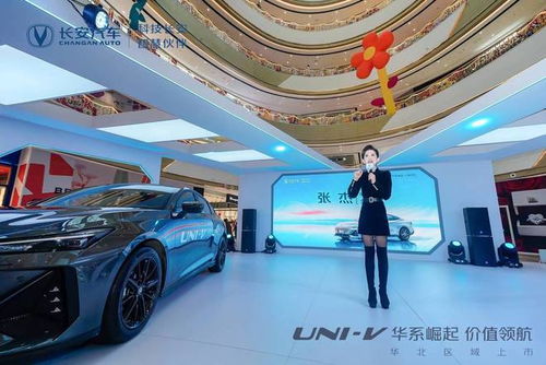 ktv汽车多少钱
