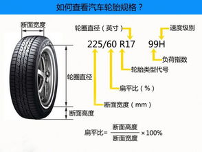汽车最大胎宽是多少