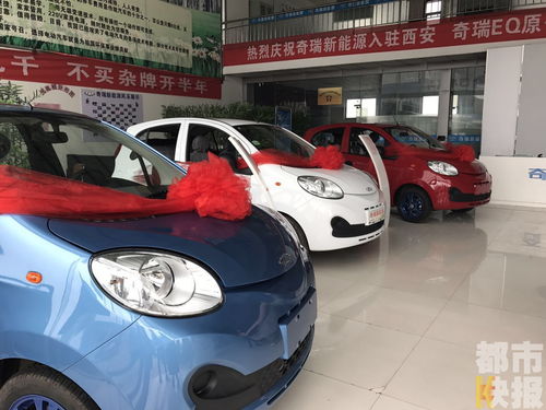 泰安有多少辆共享汽车车