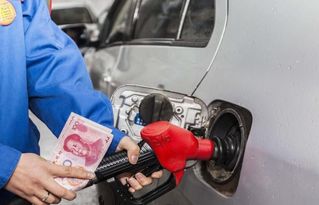 正常汽车多少号加油的