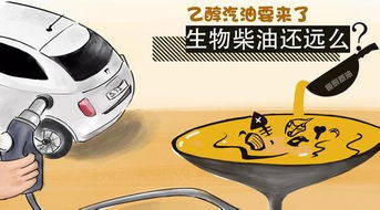 汽车可以加多少号乙醇