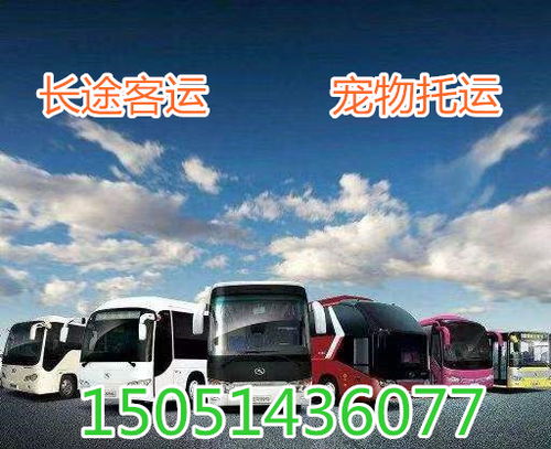 南阳到桐柏汽车多少钱