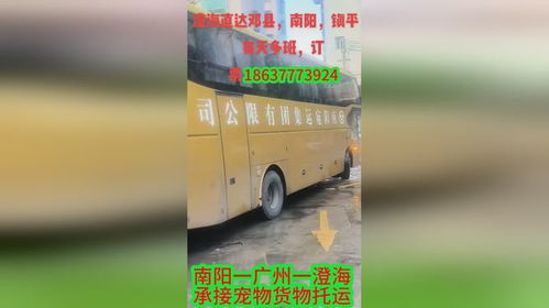 南阳到桐柏汽车多少钱