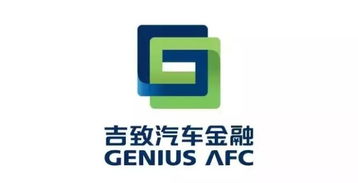 有多少家汽车金融公司