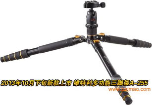 汽车机脚架全套多少钱