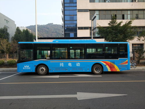 电动公共汽车多少钱