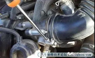 汽车清洗进气道多少钱
