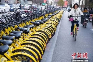 共享单车和汽车押金多少 共享单车和汽车押金多少