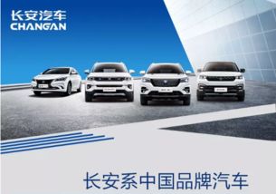 长安汽车在山东排名多少