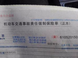 汽车交强险是多少
