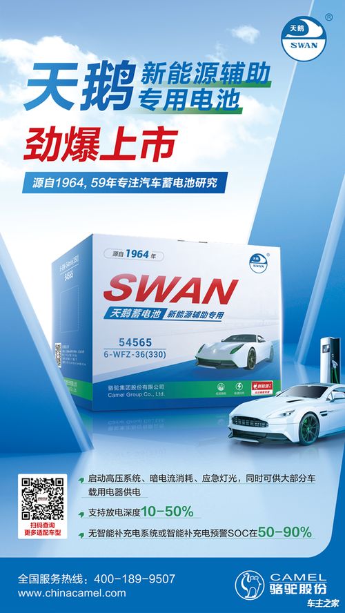 汽车天鹅电瓶多少钱