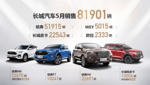 长城汽车csot多少钱