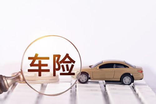 汽车集体保险多少钱