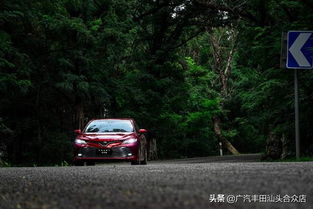 汽车加油标号多少好看