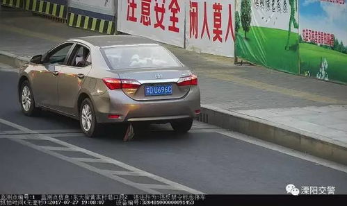 汽车抓拍多少钱