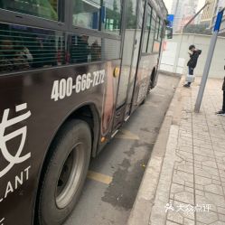 陈家坪汽车站电话多少