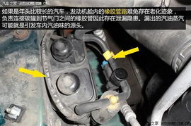 汽车高压油管多少钱