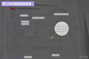 汽车保险全保多少钱