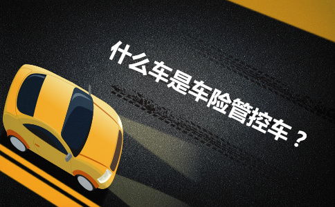 汽车乘客座位险多少