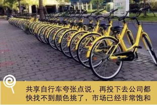 阳光出行共享汽车多少钱