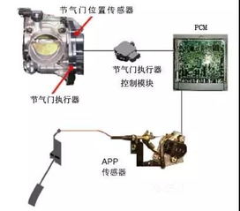 天冷了汽车点火怠速多少