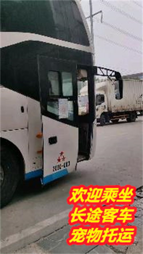 北海到湛江汽车多少钱