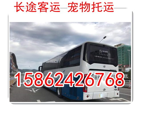 镇安汽车到汉中多少钱