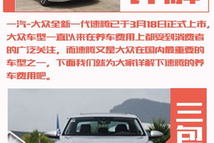 Polo汽车保养一次多少钱