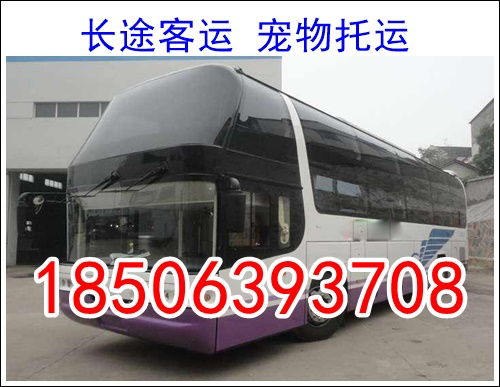 金寨到合肥汽车多少钱