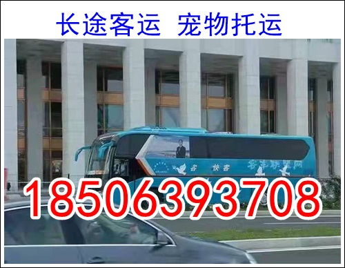 中山到东莞汽车多少钱