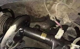 汽车减震加多少机油 汽车减震加多少机油