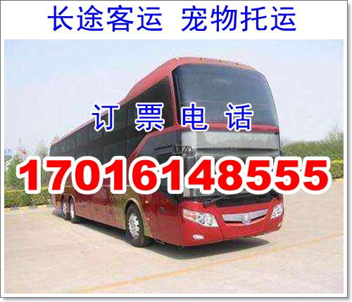 枣庄到济南汽车多少钱 枣庄到济南汽车多少钱