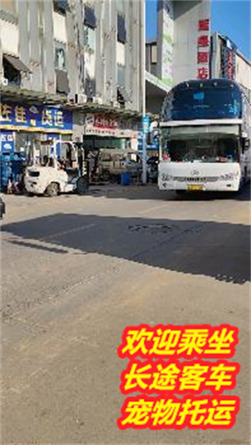 大连汽车到南京多少钱