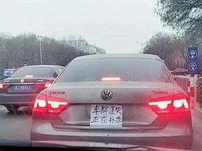 补汽车牌照需要多少钱