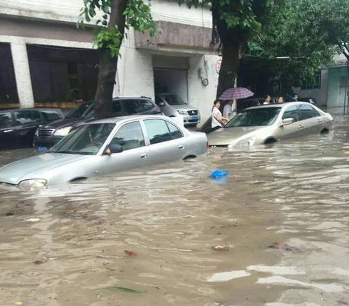 浙江汽车进水价格多少