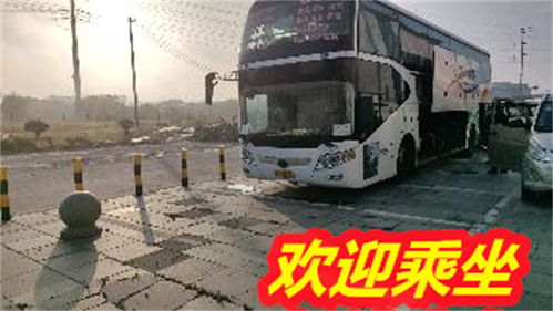 单县到南京汽车多少钱