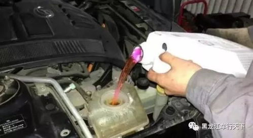 汽车防冻液换多少钱