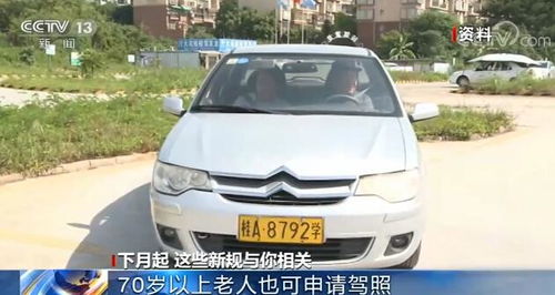 汽车驾照多少岁可以考