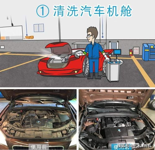 汽车定时清理多少钱