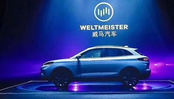 汽车佛多少钱一罐
