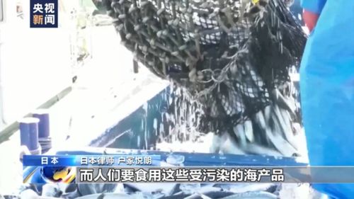 船长在公海被杀害抛海?警方回应