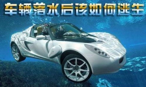 汽车水中有多少色素