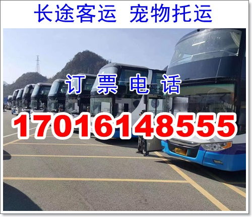 苏州到汉中汽车电话多少