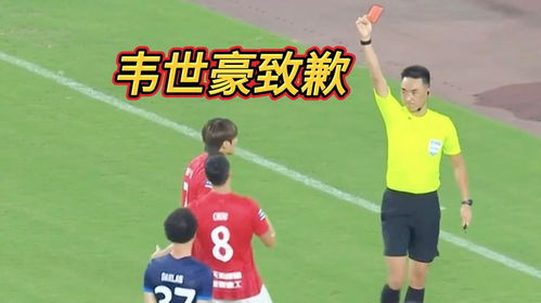 李磊道歉:向来看球的球迷说声抱歉