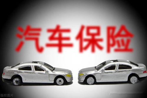 汽车一共交多少保险