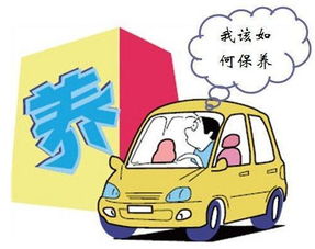 汽车保养投资多少合适