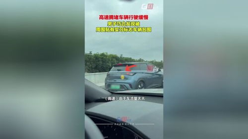 汽车倒车速度法规是多少