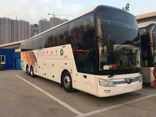 乘汽车最多能带多少饮料